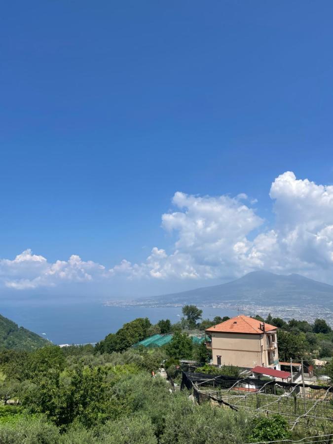 Villa Marilu Pimonte Exteriér fotografie